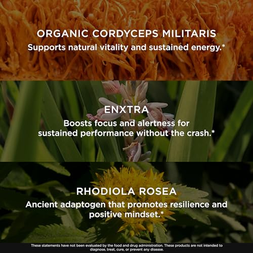 The Genius Brand Rise + Shine Nootropic – Cordyceps & Rhodiola Rosea – Caffeine-Free Energy & Mood Support – Focus, Clarity & Emotional Balance – 30 Servings The Genius BrandBuy Supplements Australia