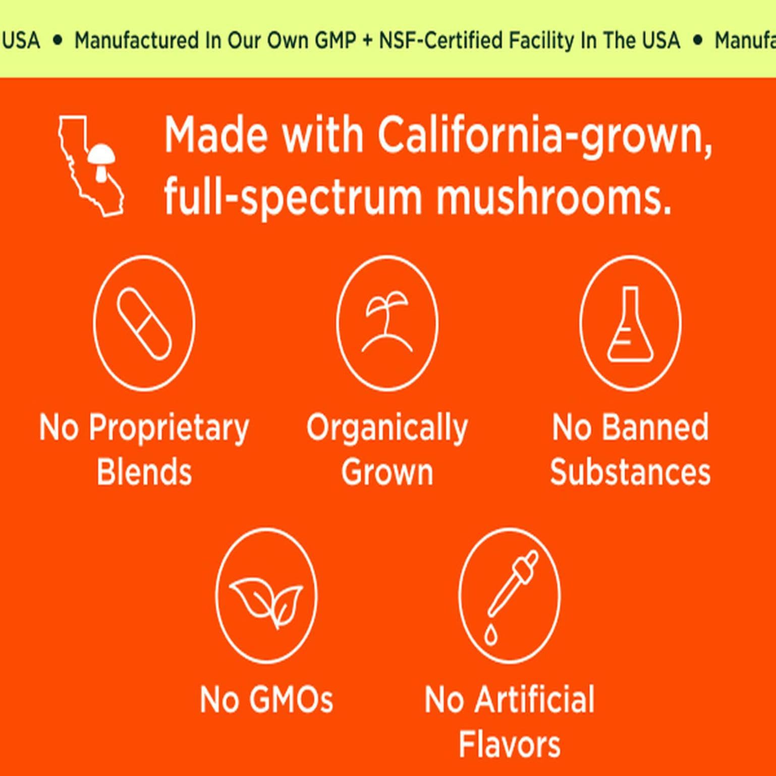 The Genius Brand Organic Mushroom Coffee + Collagen - Daily Energy Support - Healthy Immune Function - Arabica Coffee with Cordyceps, Reishi & Lion's Mane Mushroom Blend - 10.6 oz (30 Servings) The Genius BrandBuy Supplements Australia