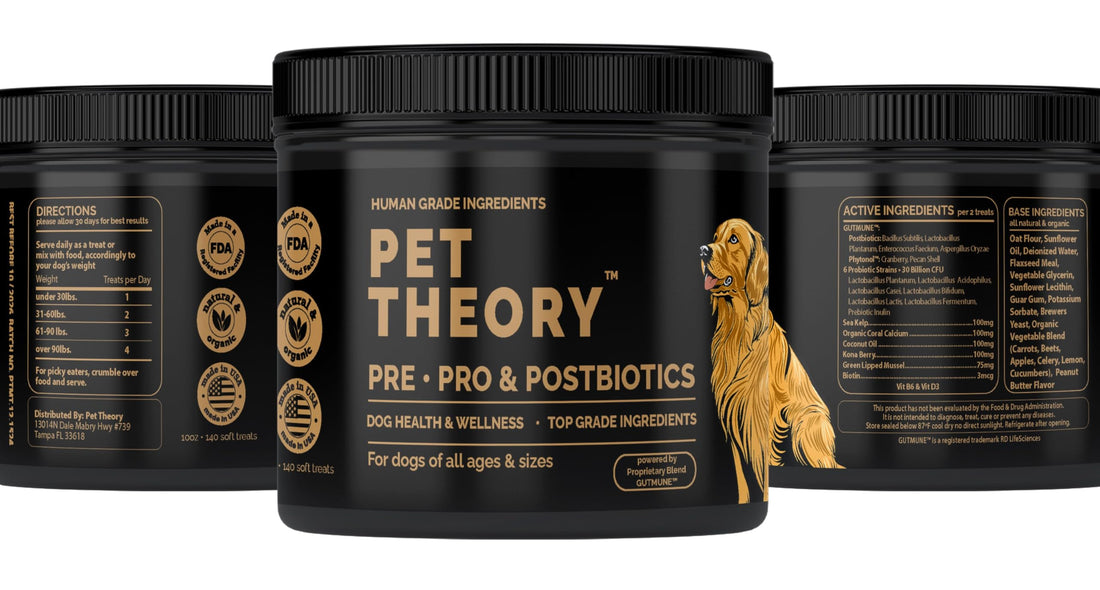 Pet Theory Probiotics for Dogs. Dog Digestive Health-Pre Pro and Postbiotic Combination-Pet Supplements for Gut Health-Supports Digestion, Boost Immunity-100CT Soft Chews Pet TheoryBuy Supplements Australia