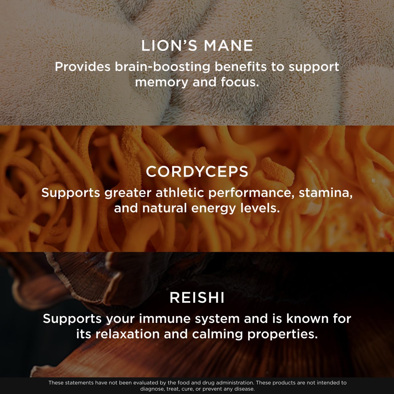 The Genius Brand Mushroom Powder - Includes Lion's Mane, Cordyceps & Reishi - Supports Brain Health, Immune System & Energy Levels - USDA Organic Mushroom Powder - 3.17 oz (60 Servings) The Genius BrandBuy Supplements Australia
