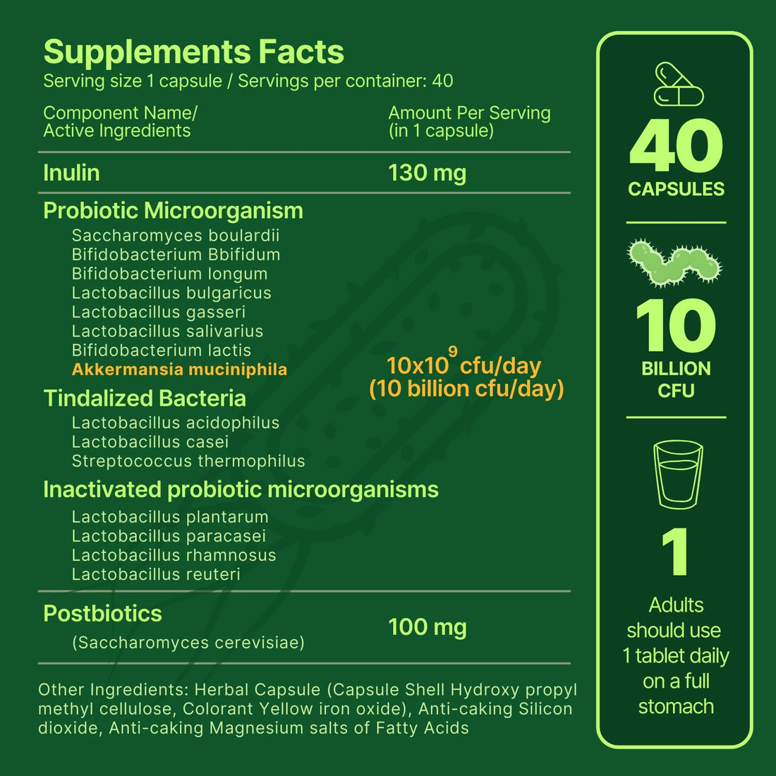 anocin Akkermansia Muciniphila + Probiotic, Postbiotic & Inulin - Gut Health Supplement for Digestion, Immune Support - 10 Billion CFU, Vegan & Gluten-Free anocinBuy Supplements Australia