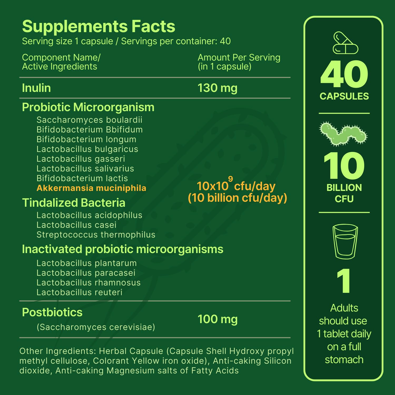 anocin Akkermansia Muciniphila + Probiotic, Postbiotic & Inulin - Gut Health Supplement for Digestion, Immune Support - 10 Billion CFU, Vegan & Gluten-Free anocinBuy Supplements Australia