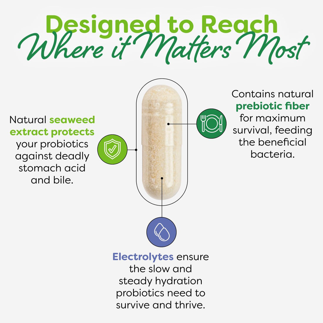 Probulin Mood Probiotics for Women with Saffron, L Theanine, Probiotic, Prebiotic, Postbiotic - Mood Support Supplement & Gut Support - Vegan, Non GMO, 30 Capsules ProbulinBuy Supplements Australia