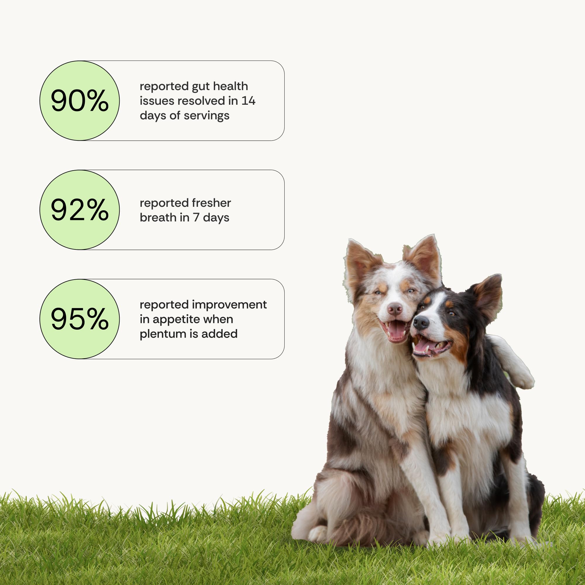 Daily Prebiotic + Postbiotic Dog Supplement Powder | 12-in-1 Support for Gut, Joints, Allergy, Immunity, Calming & Oral Health | Human-Grade Ingredients, No Artificial Flavors-No Fillers - 30 Sachets PlentumBuy Supplements Australia