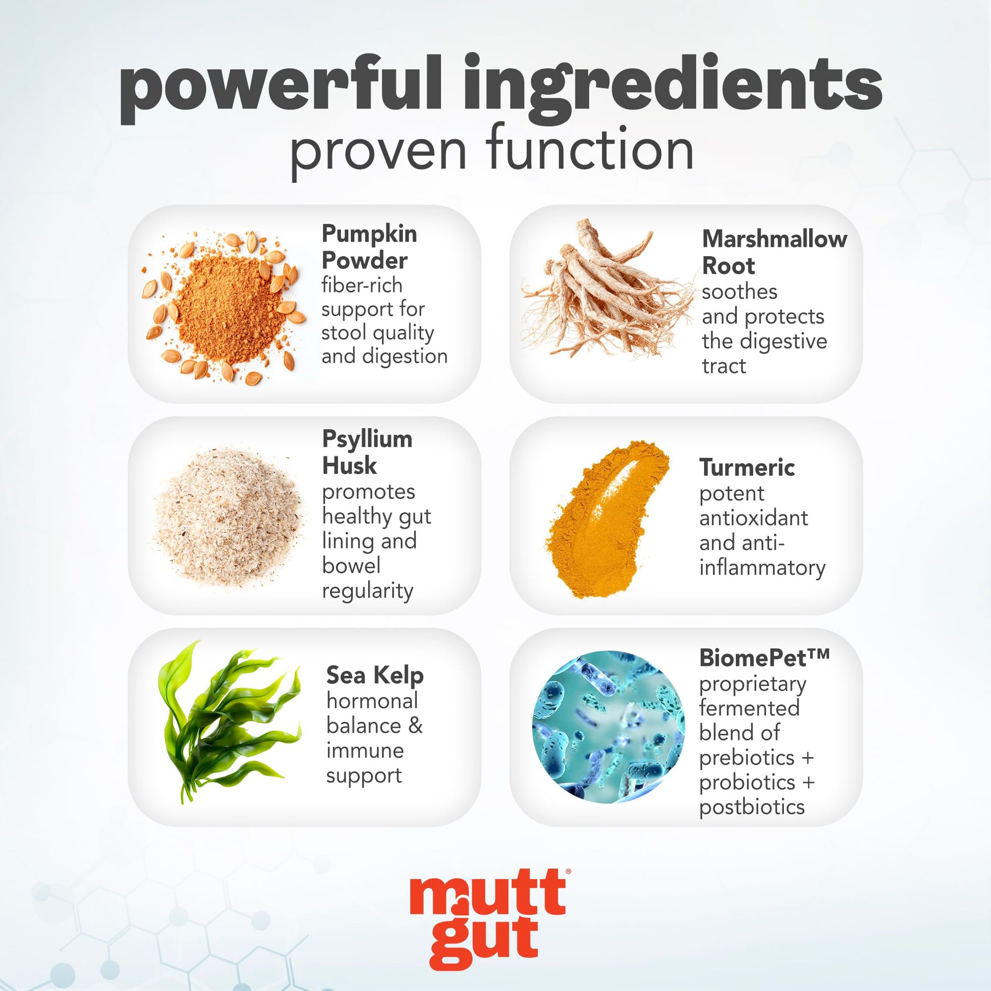 MuttGut® 3-in-1 Puppy & Dog Probiotics + Prebiotics + Postbiotics Chews - Promotes Digestive Health, Supports Immune System and Overall Health - Dog Diarrhea Relief & Immune Support - 60 Soft Chews MUTTGUTBuy Supplements Australia