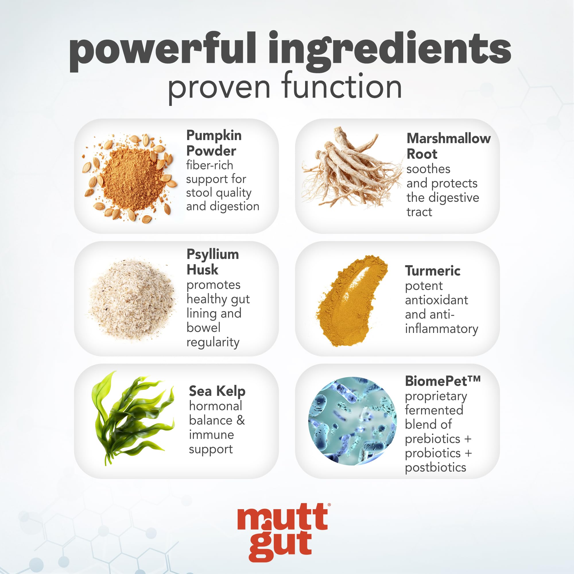 MuttGut® 3-in-1 Puppy & Dog Probiotics + Prebiotics + Postbiotics Chews - Promotes Digestive Health, Supports Immune System and Overall Health - Dog Diarrhea Relief & Immune Support - 60 Soft Chews MUTTGUTBuy Supplements Australia