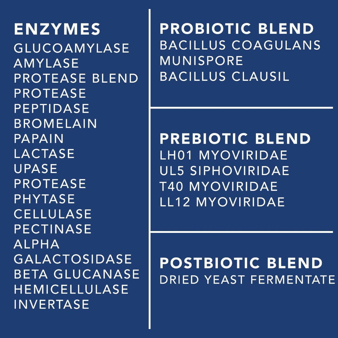 4-in-1 Prebiotic Probiotic & Postbiotic for Women & Men, Complete Gut & Digestive Support Supplement, Pre Post Probiotics & Digestive Enzymes 60 Capsules PLANT.O NUTRITIONBuy Supplements Australia