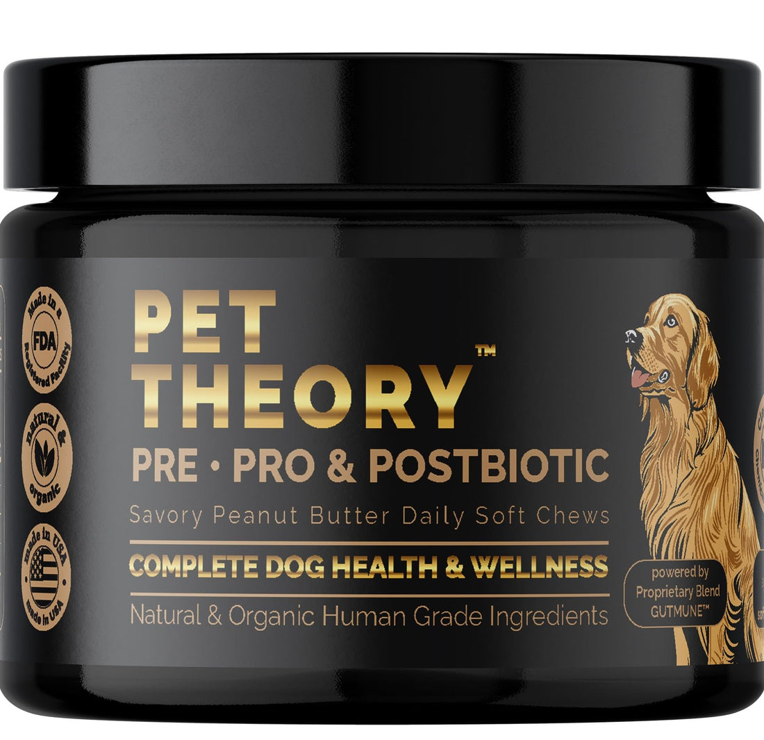 Pet Theory Probiotics for Dogs. Dog Digestive Health-Pre Pro and Postbiotic Combination-Pet Supplements for Gut Health-Supports Digestion, Boost Immunity-100CT Soft Chews Pet TheoryBuy Supplements Australia