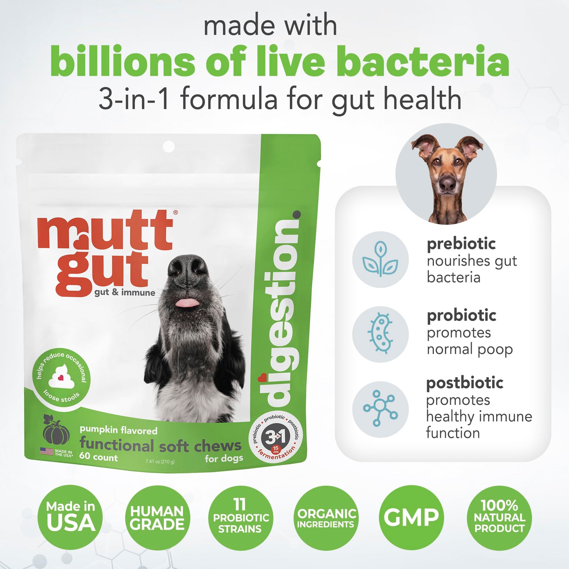 MuttGut® 3-in-1 Puppy & Dog Probiotics + Prebiotics + Postbiotics Chews - Promotes Digestive Health, Supports Immune System and Overall Health - Dog Diarrhea Relief & Immune Support - 60 Soft Chews MUTTGUTBuy Supplements Australia