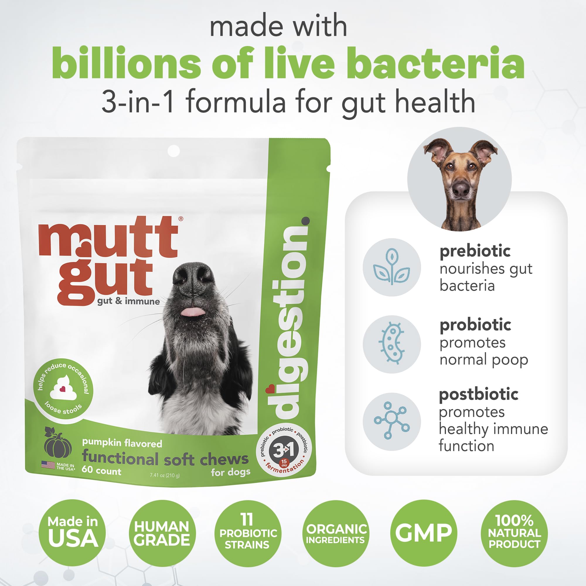 MuttGut® 3-in-1 Puppy & Dog Probiotics + Prebiotics + Postbiotics Chews - Promotes Digestive Health, Supports Immune System and Overall Health - Dog Diarrhea Relief & Immune Support - 60 Soft Chews MUTTGUTBuy Supplements Australia