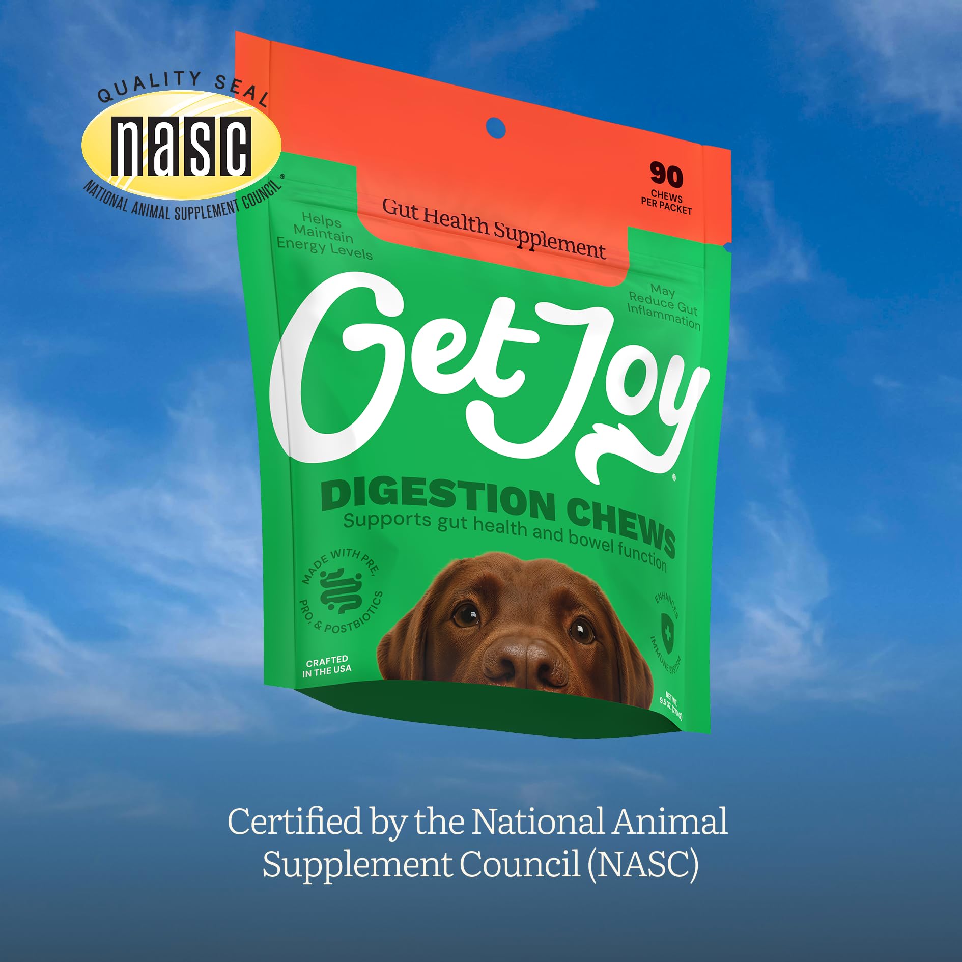 Get Joy Digestion Chews, Gut Health Supplement for Dogs, Vet Recommended Soft Daily Digestive Health & Immune Support with Prebiotics, Probiotics & Postbiotics, Made in USA, 90 Count Get JoyBuy Supplements Australia