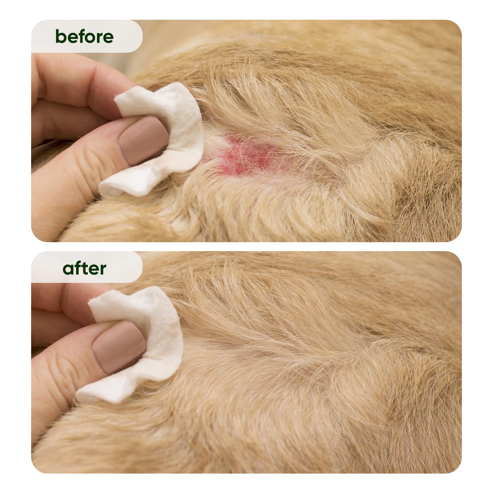 Wanciment NUVON Postbiotic Spray - Hot Spot Treatment for Dogs & Cats - Helps Alleviate Sensitive Skin, Scratching, and Licking of Coat - 3.38 fl oz WancimentBuy Supplements Australia