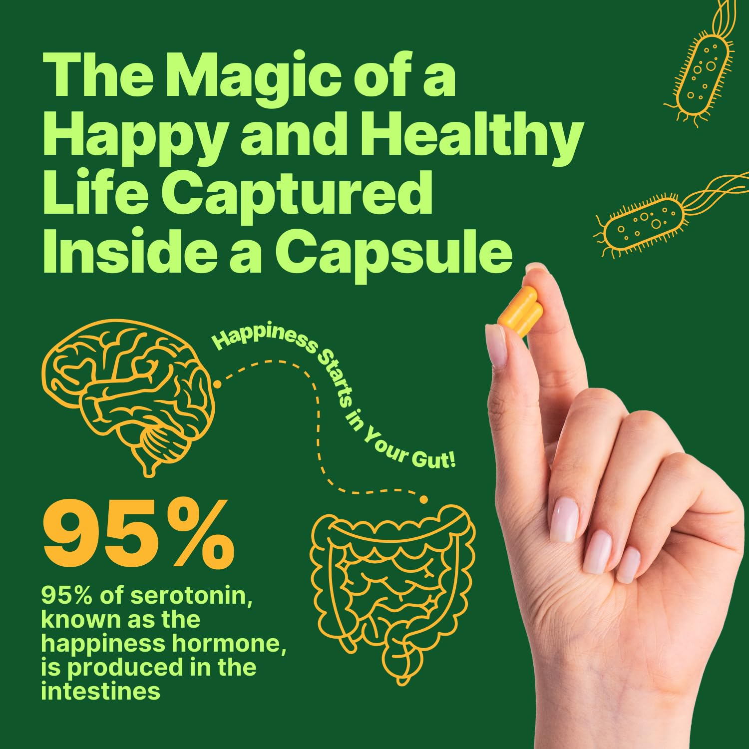 anocin Akkermansia Muciniphila + Probiotic, Postbiotic & Inulin - Gut Health Supplement for Digestion, Immune Support - 10 Billion CFU, Vegan & Gluten-Free anocinBuy Supplements Australia