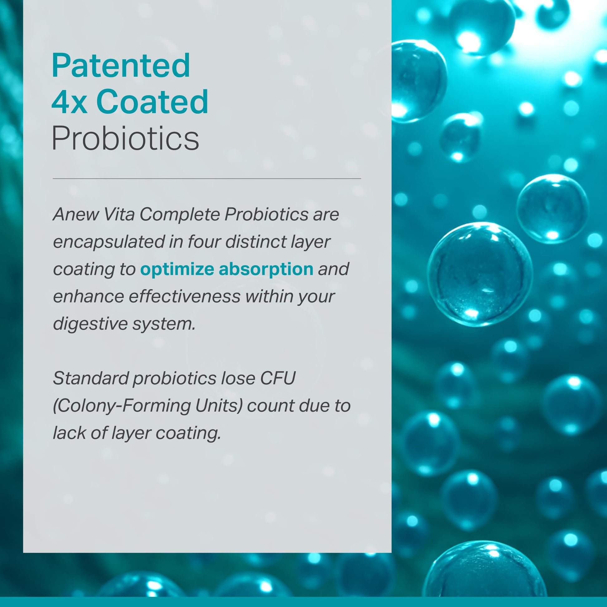 Complete Probiotic Blend: 5-in-1 Digestive Enzymes, Zinc, Postbiotic, Prebiotics and Probiotics for Women & Men, Provitalize for Women Digestive & Gut Health | 10 Strains 20 Billion CFU, 60ct Softgels Anew VitaBuy Supplements Australia