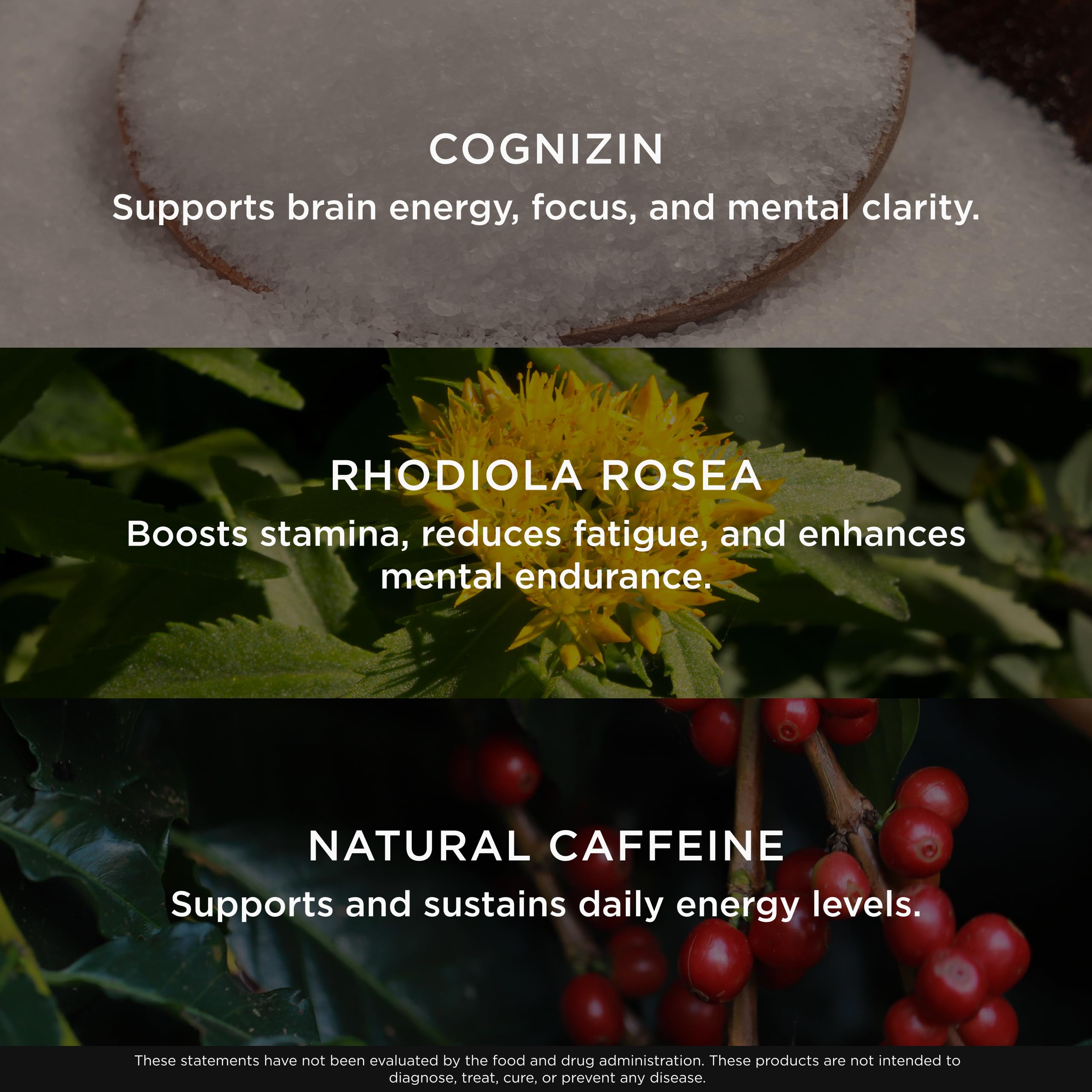 Genius BCAA Powder - 5g Vegan BCAAs L-Glutamine, Cognizin & Rhodiola Muscle Recovery Energy Support 100mg Caffeine Pre, Intra, Post-Workout Nootropic Supplement for Focus & Performance - Grape Limeade The Genius BrandBuy Supplements Australia