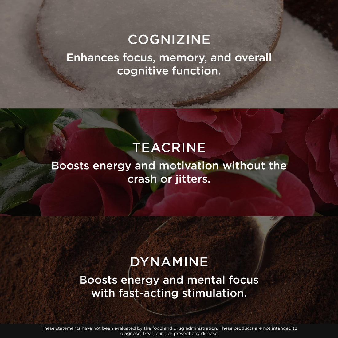 Genius Gamer, Gaming Focus Supplement, 80 Pills - Elite Nootropic Performance Booster - Boost Brain & Mental Clarity, Reaction Time & Concentration - Blue Light Support with Lutemax The Genius BrandBuy Supplements Australia