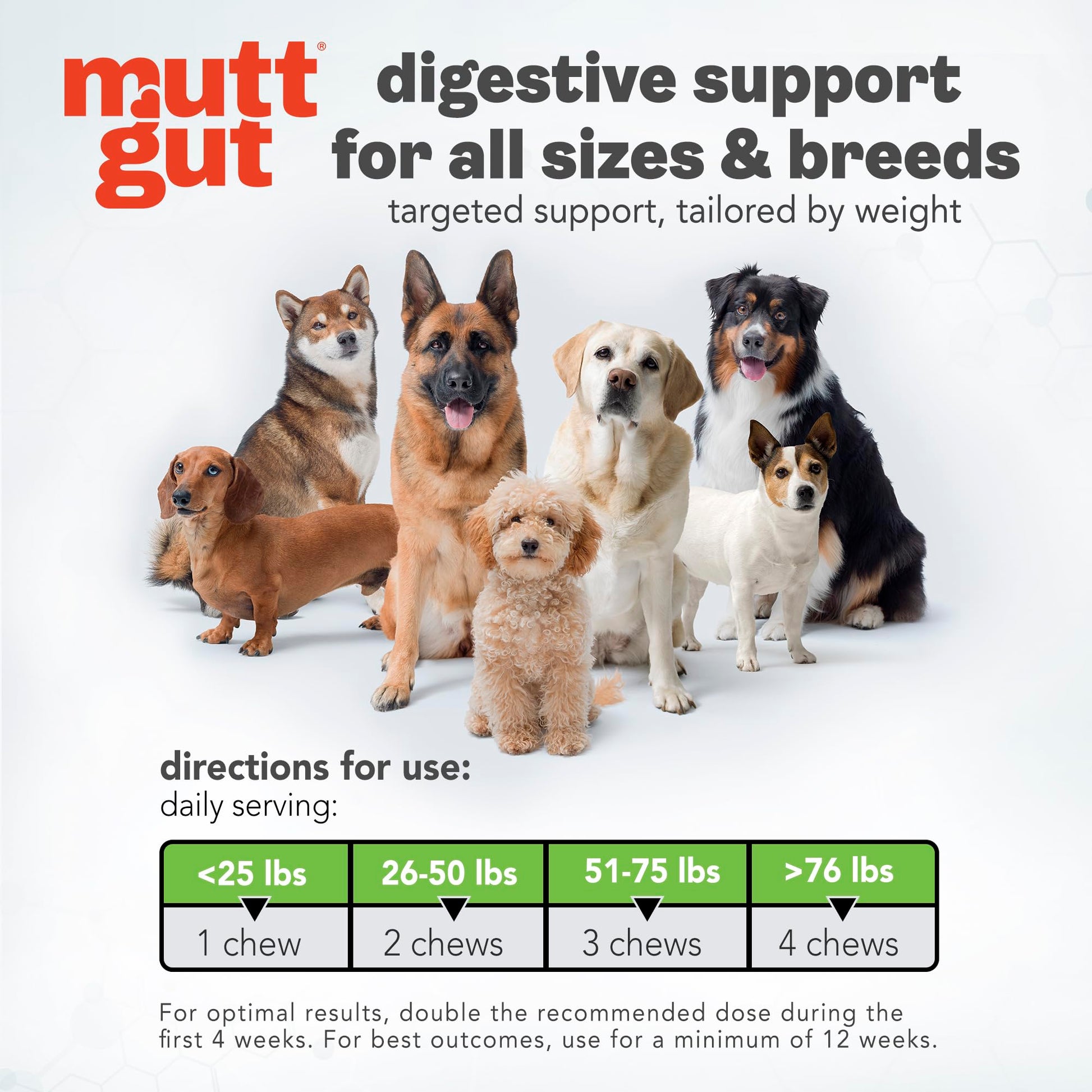 MuttGut® 3-in-1 Puppy & Dog Probiotics + Prebiotics + Postbiotics Chews - Promotes Digestive Health, Supports Immune System and Overall Health - Dog Diarrhea Relief & Immune Support - 60 Soft Chews MUTTGUTBuy Supplements Australia