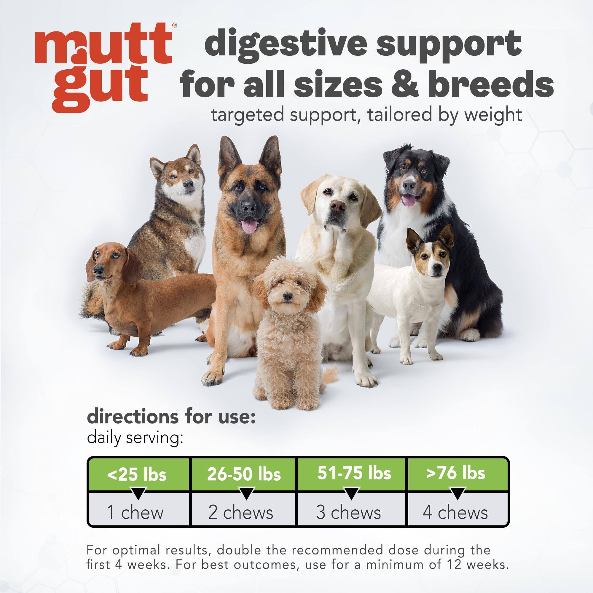 MuttGut® 3-in-1 Puppy & Dog Probiotics + Prebiotics + Postbiotics Chews - Promotes Digestive Health, Supports Immune System and Overall Health - Dog Diarrhea Relief & Immune Support - 60 Soft Chews MUTTGUTBuy Supplements Australia