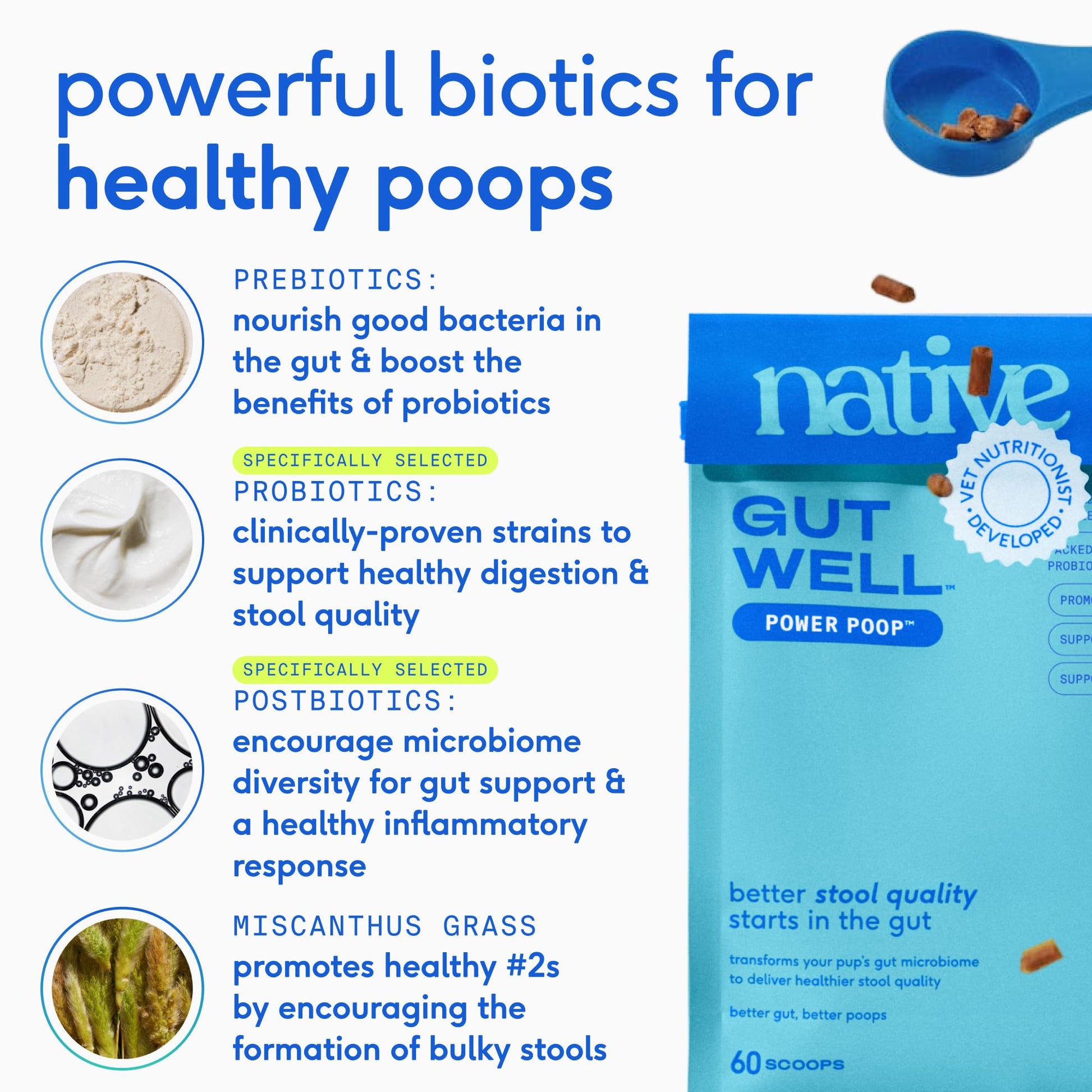 GutWell Power Poop - Digestive Enzymes & Fiber for Dogs - Dog Fiber Supplements Help with Diarrhea Relief, Upset Stomach, Pet Gas & Gut Health with Targeted Triple-Biotic Blend & M-Fiber - 60 Scoops Native PetBuy Supplements Australia