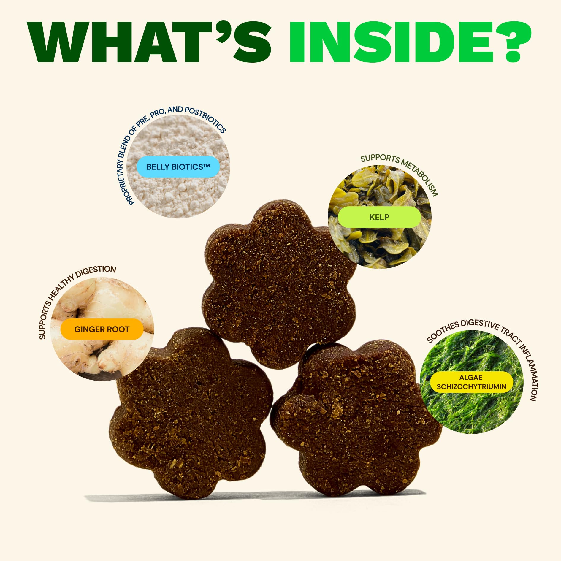 Get Joy Digestion Chews, Gut Health Supplement for Dogs, Vet Recommended Soft Daily Digestive Health & Immune Support with Prebiotics, Probiotics & Postbiotics, Made in USA, 90 Count Get JoyBuy Supplements Australia